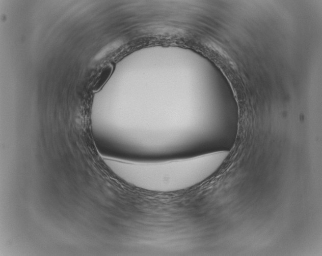 X0000088830869200706071123