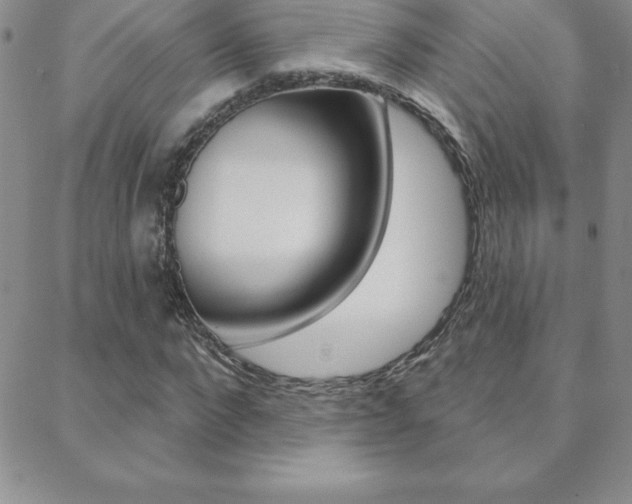X0000088830872200706071123