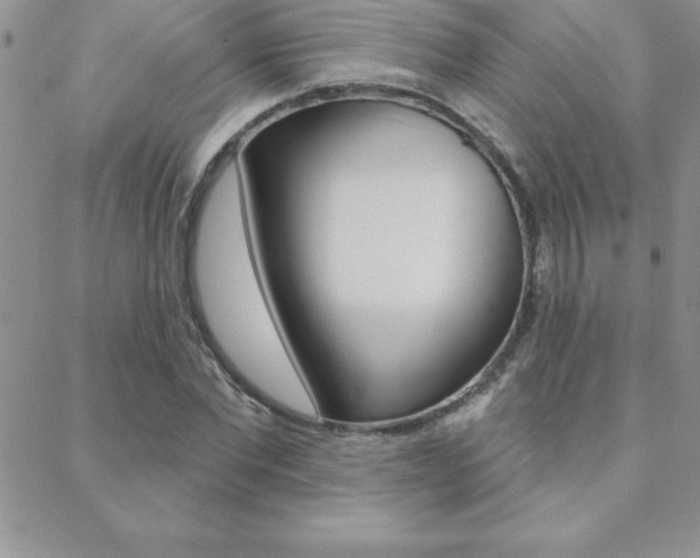 X0000088830877200706071123