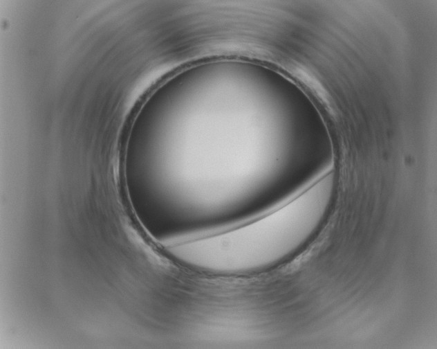 X0000088830888200706071123