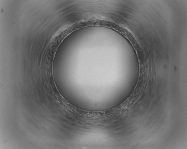 X0000088830919200706071122