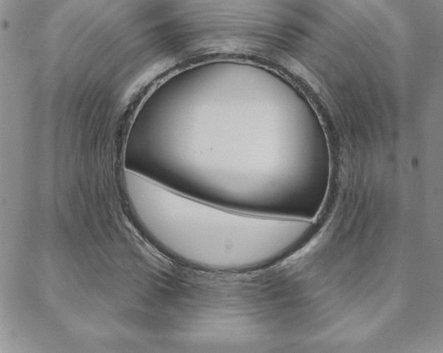 X0000088830922200706071122