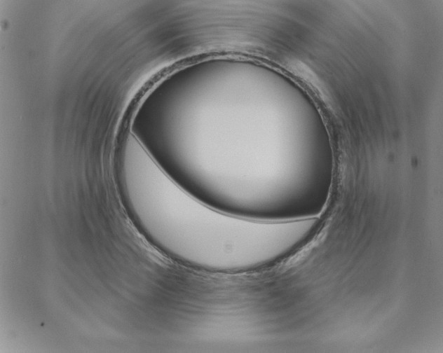 X0000088830924200706071122