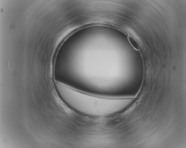 X0000088830940200706071122