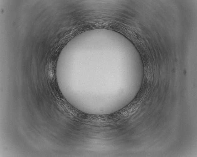 X0000088830962200706071121