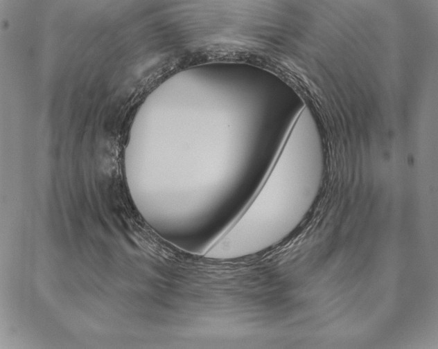 X0000088830964200706071121