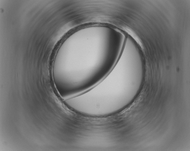 X0000088830972200706071121