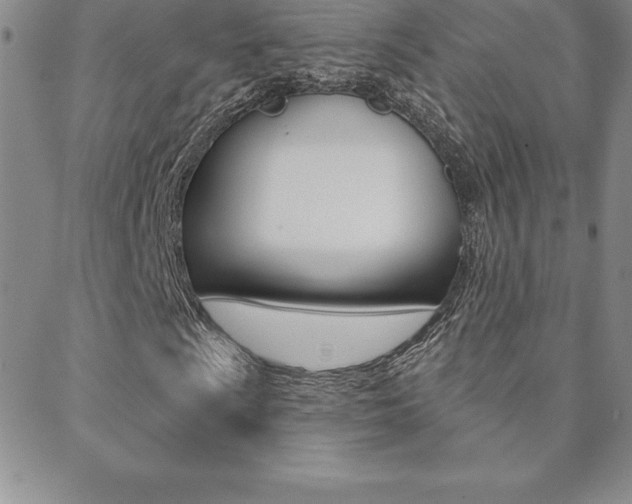 X0000088831009200706071120