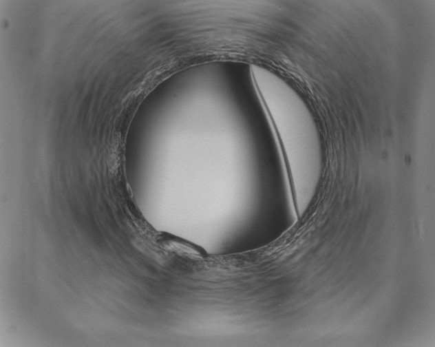 X0000088831012200706071120
