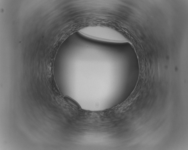 X0000088831013200706071120