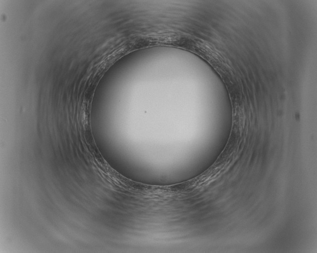 X0000088831058200706071120