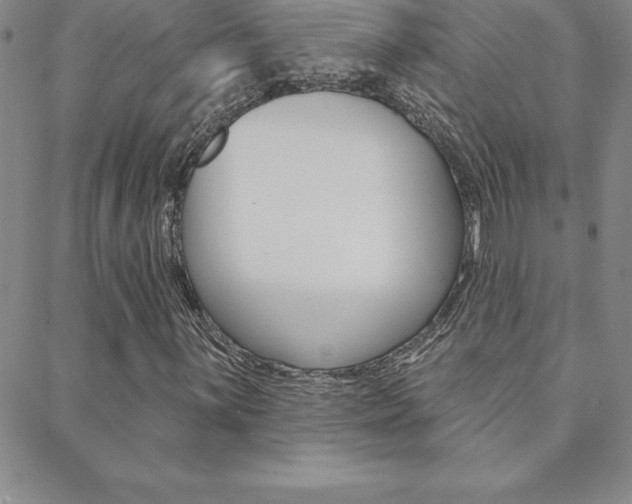 X0000088831059200706071120