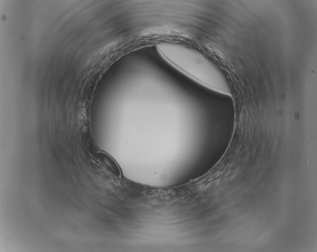 X0000088831062200706071120