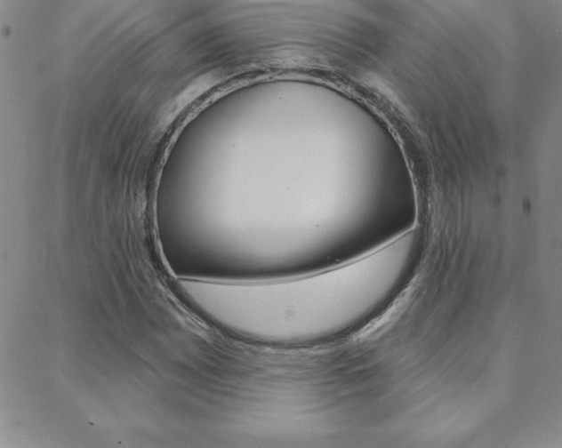X0000088831065200706071120