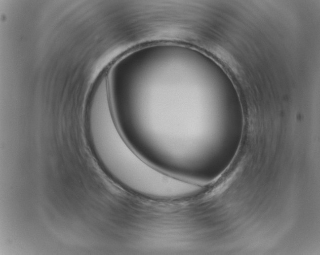 X0000088831077200706071120