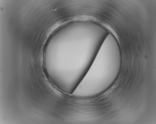 X0000088831083200706071119