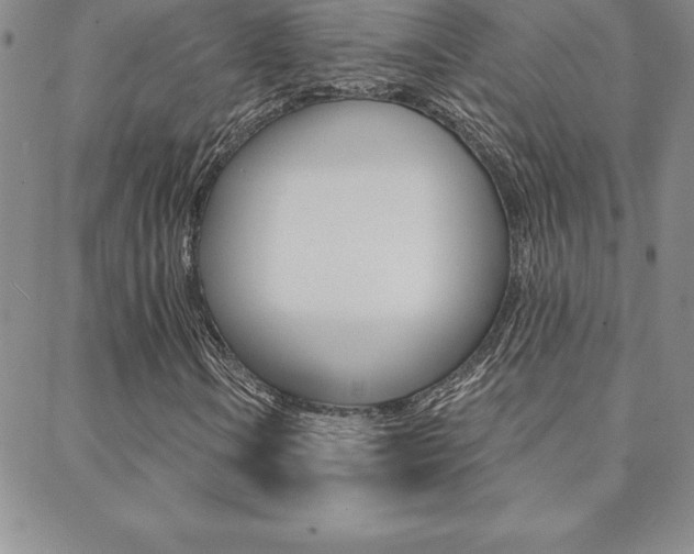 X0000088831106200706071118