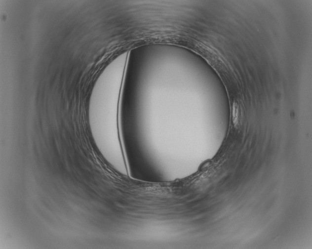 X0000088831107200706071118