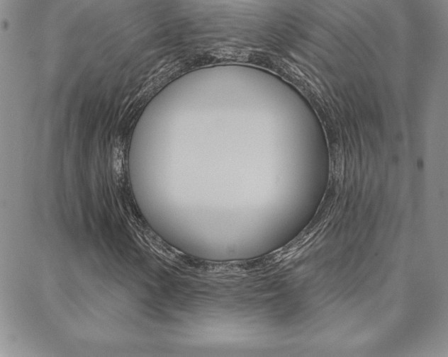X0000088831154200706071118