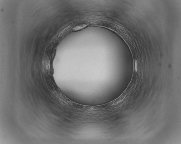 X0000088831155200706071118