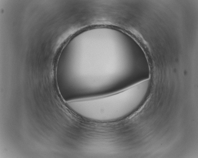 X0000088831167200706071118