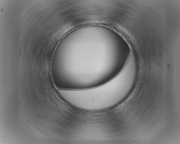 X0000088831169200706071118