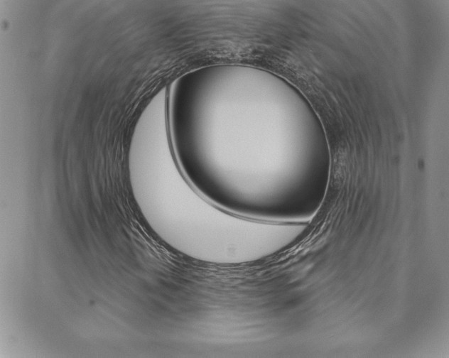 X0000088831202200706071117