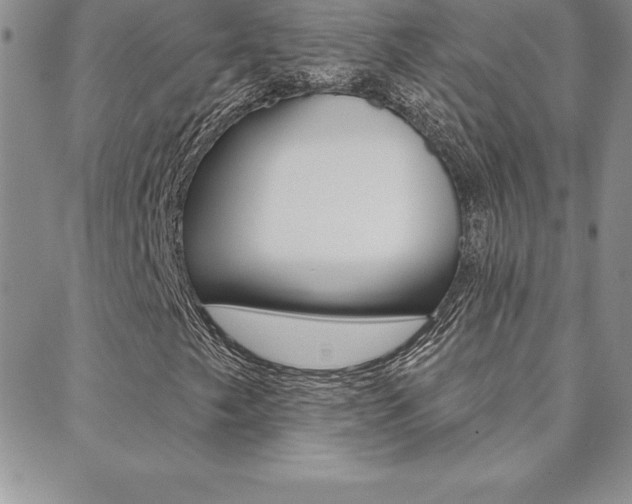 X0000088831249200706071117