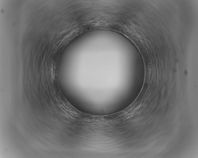X0000088831250200706071117