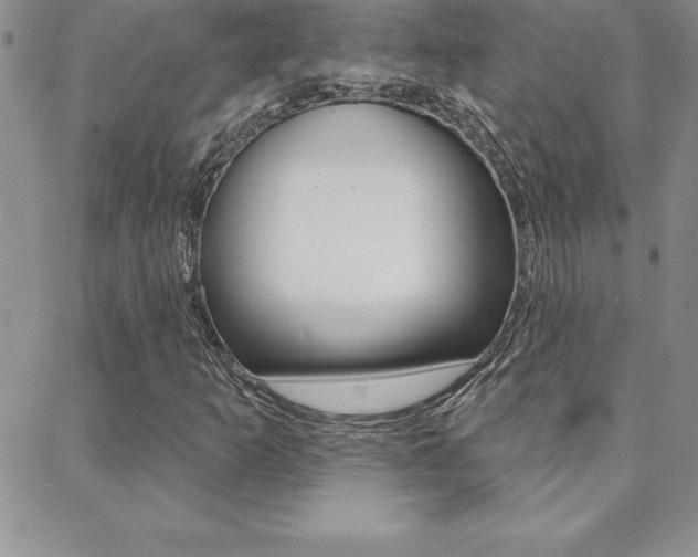 X0000088831253200706071117