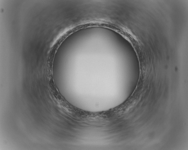 X0000088831256200706071117