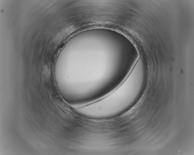X0000088831257200706071117