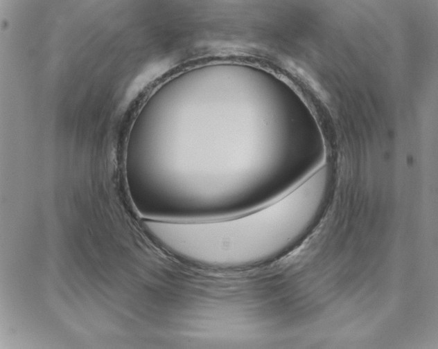 X0000088831261200706071117