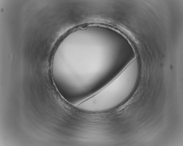 X0000088831264200706071116