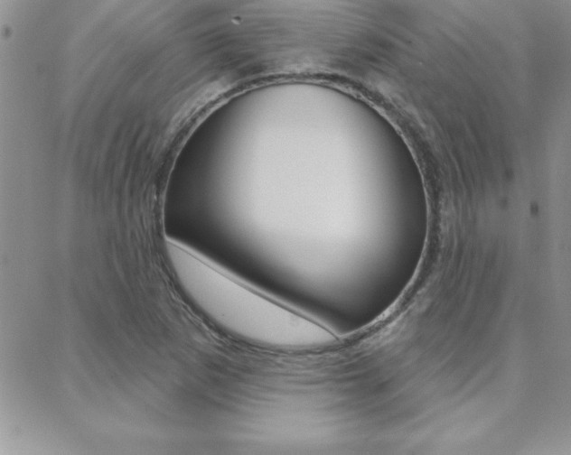 X0000088831265200706071116