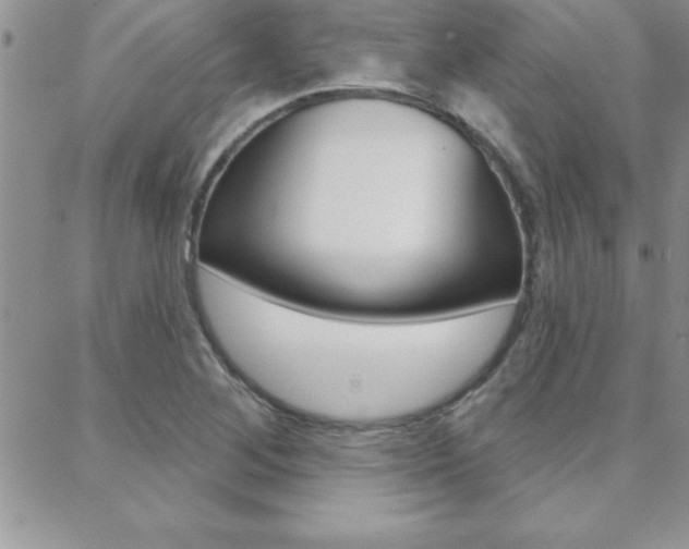 X0000088831268200706071116