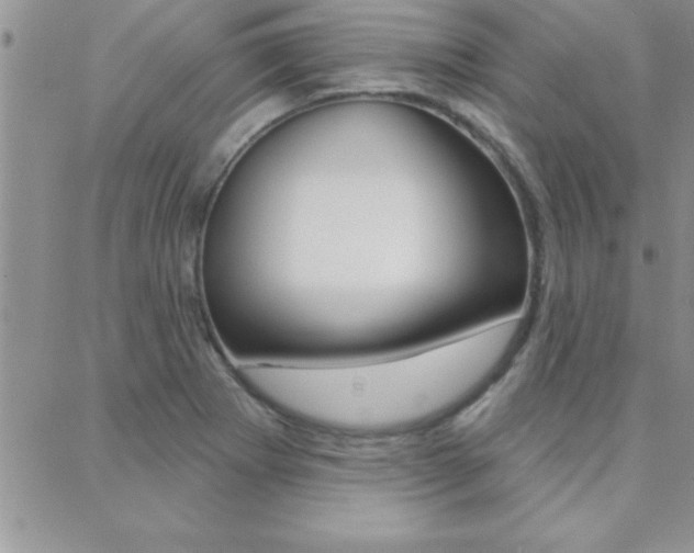 X0000088831273200706071116