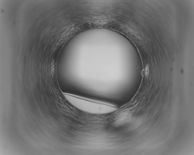 X0000088831299200706071115