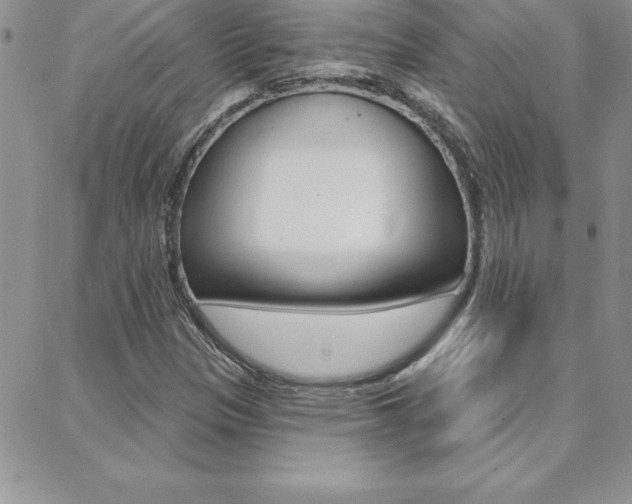 X0000088831305200706071115