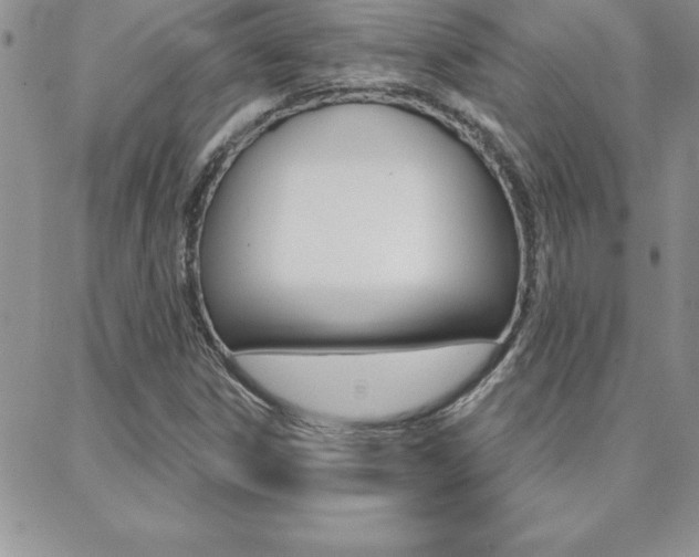 X0000088831306200706071115