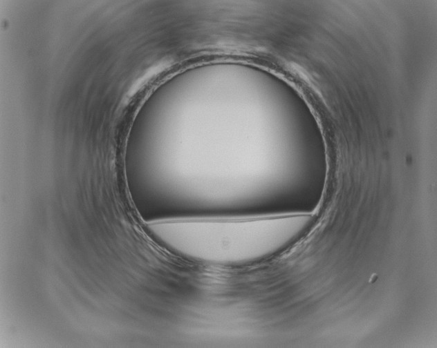 X0000088831307200706071115
