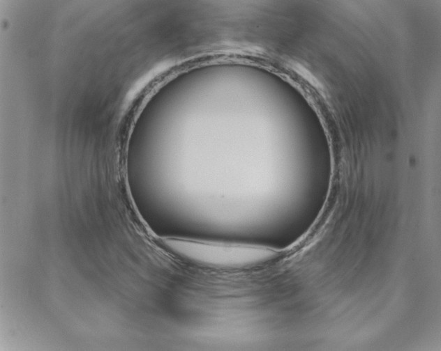 X0000088831310200706071115