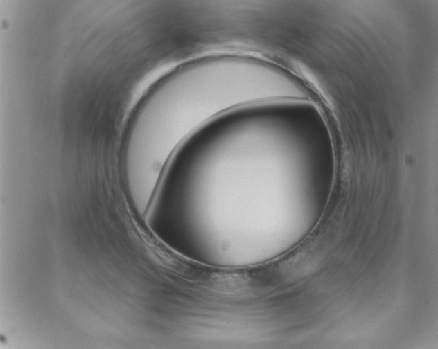 X0000088831320200706071116