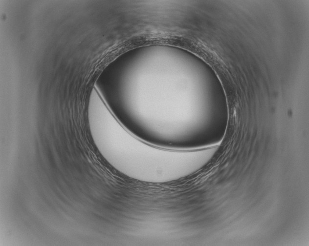 X0000088831348200706071115