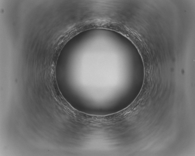 X0000088831349200706071115