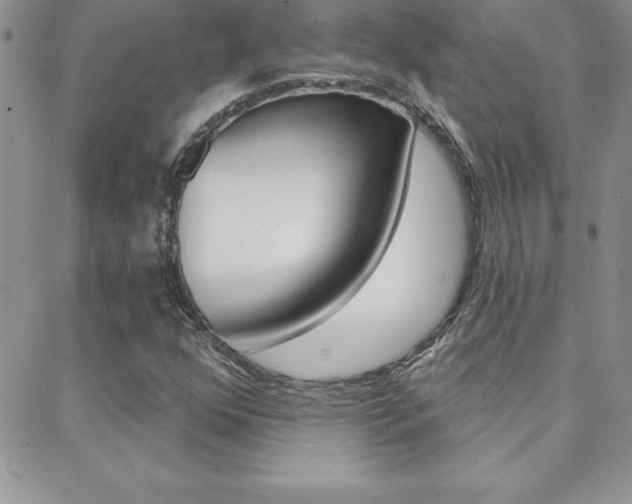 X0000088831352200706071115