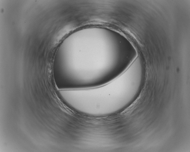 X0000088831355200706071115