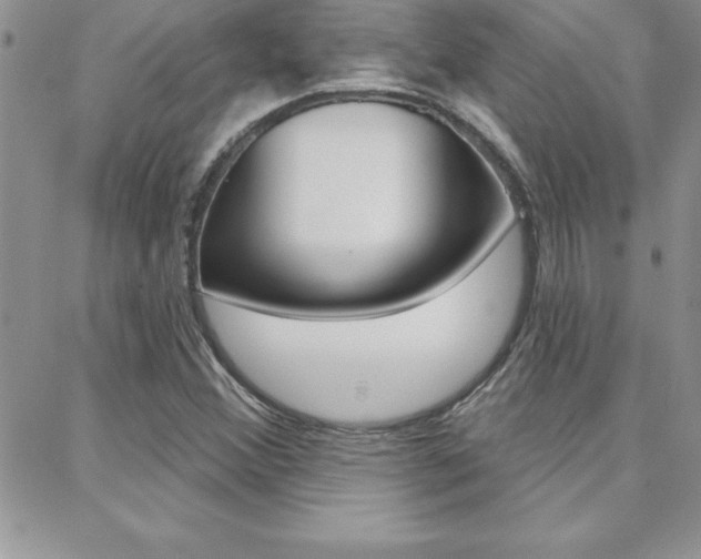 X0000088831356200706071115