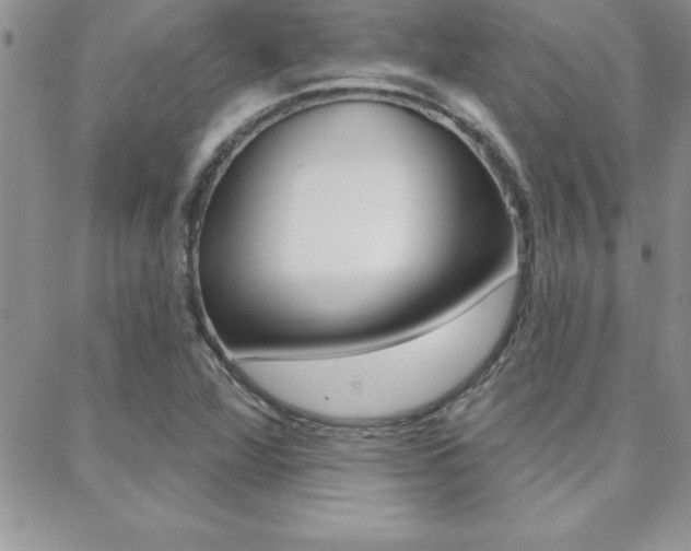 X0000088831360200706071115