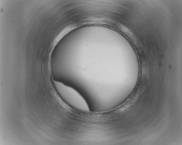 X0000088831370200706071115